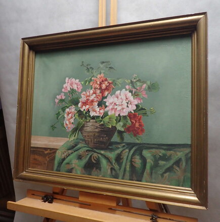 BAREVNÉ MUŠKÁTY - MAYER