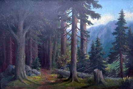 LESNÍ CESTA V PODKRKONOŠÍ - MAYER CHARLES