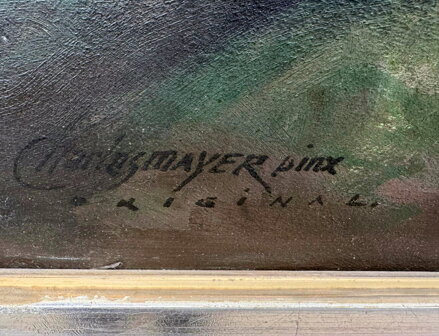 LESNÍ CESTA V PODKRKONOŠÍ - MAYER CHARLES