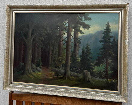 LESNÍ CESTA V PODKRKONOŠÍ - MAYER CHARLES