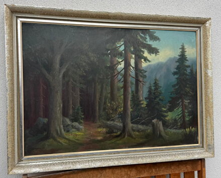 LESNÍ CESTA V PODKRKONOŠÍ - MAYER CHARLES