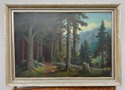 LESNÍ CESTA V PODKRKONOŠÍ - MAYER CHARLES