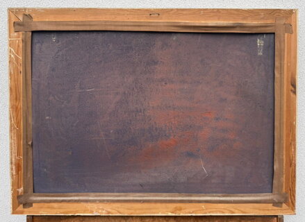 LESNÍ CESTA V PODKRKONOŠÍ - MAYER CHARLES