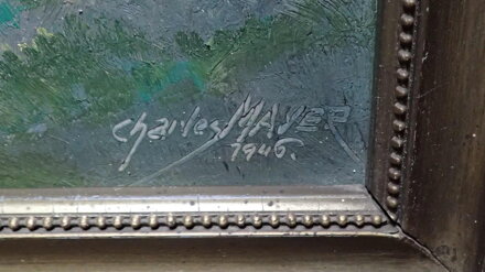 VESNICKÝ STATEK - MAYER CHARLES