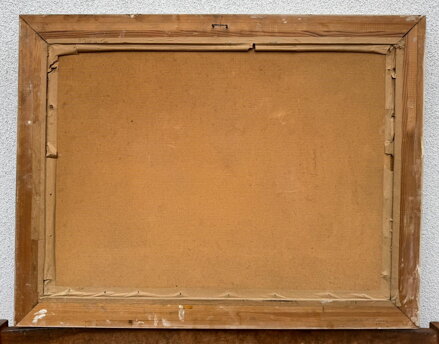 VLNY U SKALISEK - MAYER CHARLES