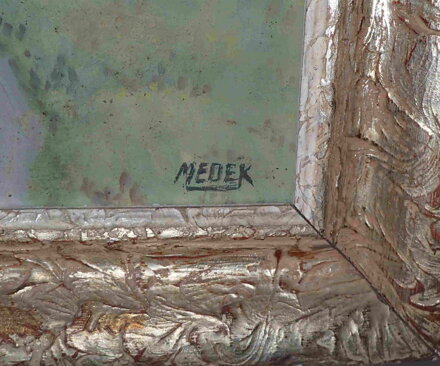 JARO NA VESNICI - MEDEK JAN