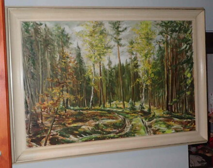CESTA LESEM - MIKULECKÝ
