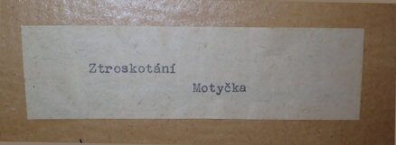 ZTROSKOTÁNÍ - MOTYČKA FRANTIŠEK