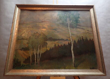 POLÍČKA NA KOPCI - NĚMEC KAREL