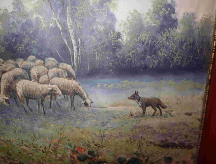 PASÁK OVCÍ - NOVÁK KAREL