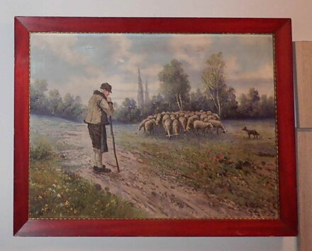PASÁK OVCÍ - NOVÁK KAREL