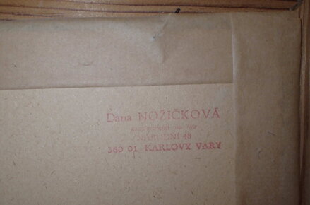 VEDUTA - NOŽIČKOVÁ STEHLÍKOVÁ DANUŠE