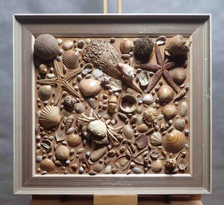 OBRAZ ZE SCHRÁNEK MOŘSKÝCH TVORŮ