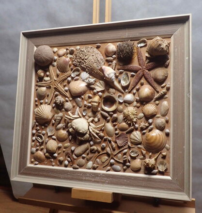 OBRAZ ZE SCHRÁNEK MOŘSKÝCH TVORŮ