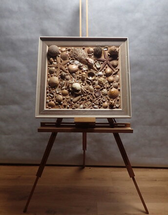 OBRAZ ZE SCHRÁNEK MOŘSKÝCH TVORŮ