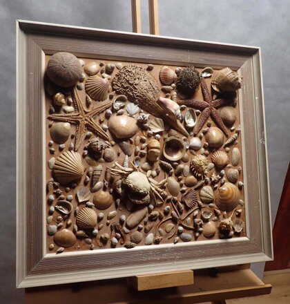 OBRAZ ZE SCHRÁNEK MOŘSKÝCH TVORŮ