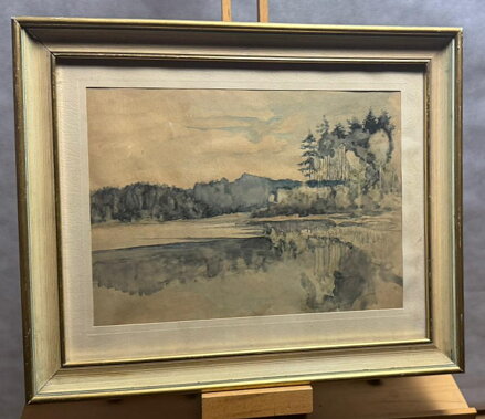 ODRAZ STROMŮ NA VODNÍ HLADINĚ - NEZNÁMÝ AUTOR