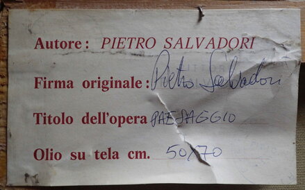 PAESAGGIO - SALVADORI PIETRO