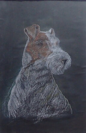 PES - FOXTERIÉR - NEZNÁMÝ AUTOR