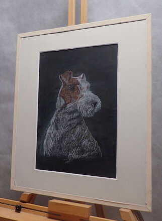 PES - FOXTERIÉR - NEZNÁMÝ AUTOR