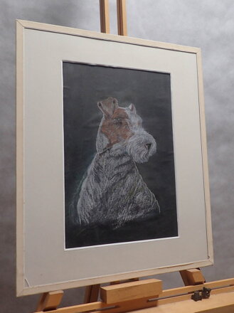 PES - FOXTERIÉR - NEZNÁMÝ AUTOR