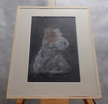 PES - FOXTERIÉR - NEZNÁMÝ AUTOR