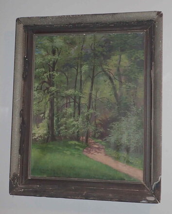 PROSLUNĚNÝ LES - PETRIDES FRANTIŠEK