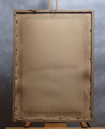 BAREVNÉ JIŘINY - POKORNÝ