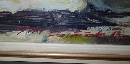 LUČNÍ KVÍTÍ - POLÁČEK JIŘÍ