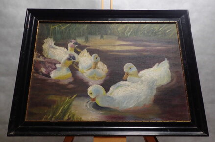 KACHNY NA RYBNÍKU - POPELKA VOJTĚCH HYNEK