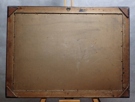 KACHNY NA RYBNÍKU - POPELKA VOJTĚCH HYNEK