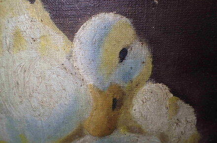 KACHNY NA RYBNÍKU - POPELKA VOJTĚCH HYNEK