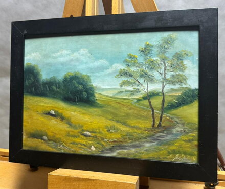 POTŮČEK POD SVAHEM - SIGNOVÁN