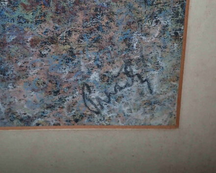 BAREVNÉ ASTRY - PRAŽSKÝ