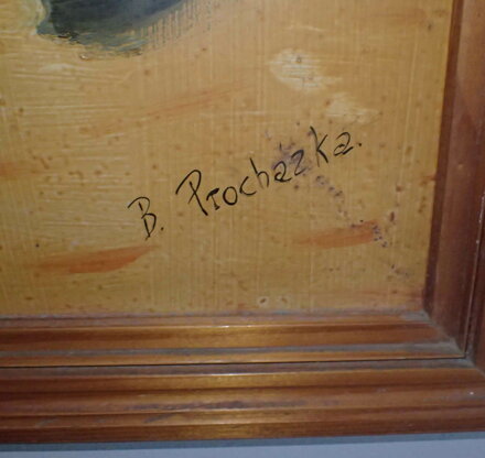 ROZKVETLÉ SLUNEČNICE - PROCHÁZKA B.