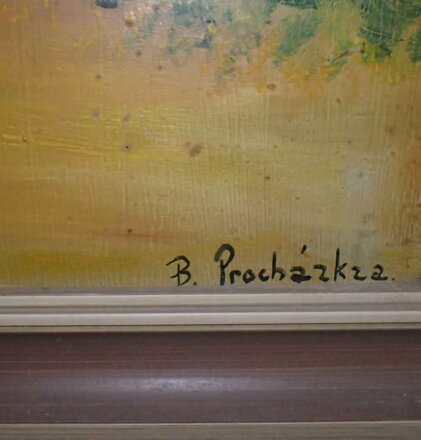 VESNICKÝ STATEK U RYBNÍKA - PROCHÁZKA B.