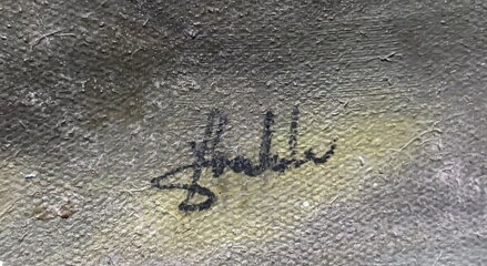 PROSLUNĚNÁ CESTA PARKEM S RODODENDRONY - SIGNOVÁN