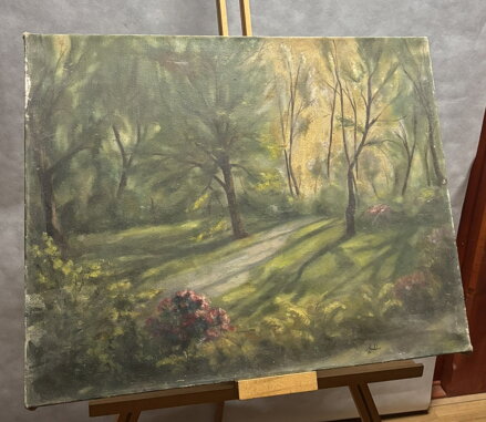 PROSLUNĚNÁ CESTA PARKEM S RODODENDRONY - SIGNOVÁN