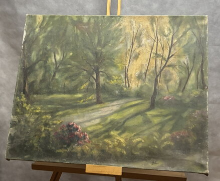 PROSLUNĚNÁ CESTA PARKEM S RODODENDRONY - SIGNOVÁN