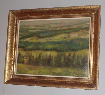 ŠUMAVA - RANDÁK JAROMÍR