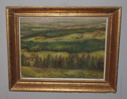 ŠUMAVA - RANDÁK JAROMÍR
