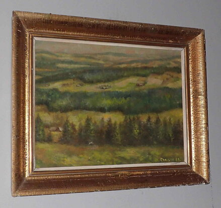 ŠUMAVA - RANDÁK JAROMÍR