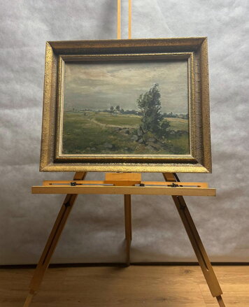 CESTA LETNÍ KRAJINOU - ŠAFRÁNEK CESTA LETNÍ KRAJINOU - ŠAFRÁNEK