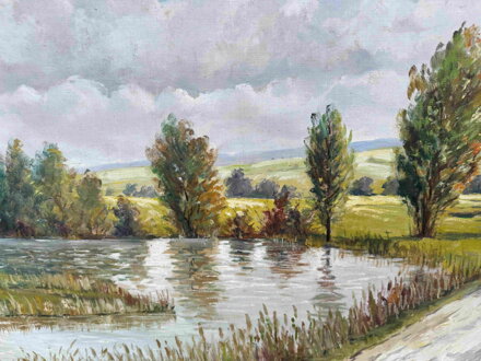 CESTA U RYBNÍKA S BŘÍZAMI - SCHÄFER KAREL