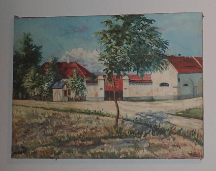 VESNICKÝ STATEK - SCHUSTER V.