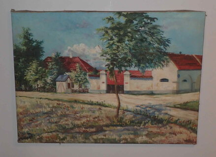 VESNICKÝ STATEK - SCHUSTER V.