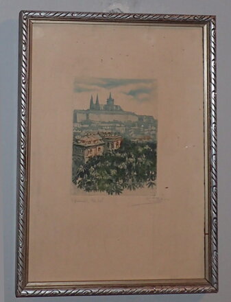 PRAHA POHLED NA PRAŽSKÝ HRAD - ŠEBOR OLDŘICH