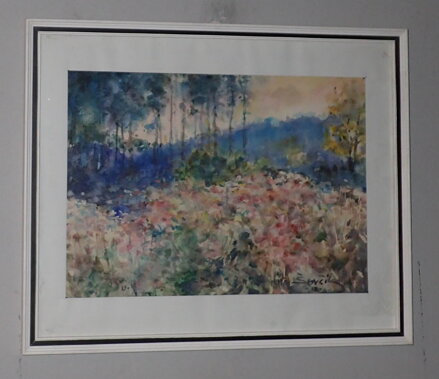 KVETOUCÍ PASEKA - ŠEVČÍK LADISLAV