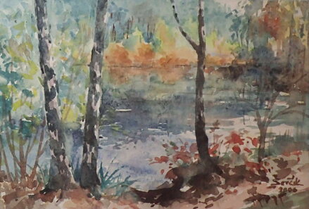 SLUNEČNÍ RYBNÍK - ŠEVČÍK LADISLAV