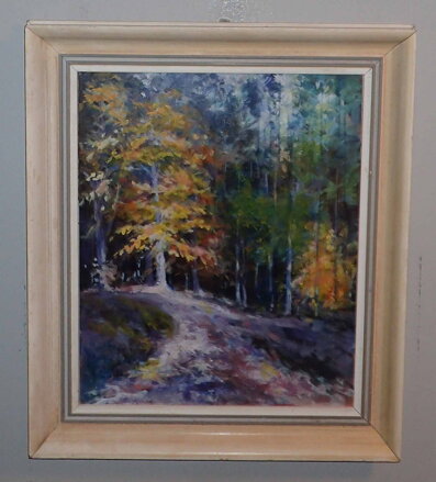 TAJEMNÝ LES - ŠEVČÍK LADISLAV